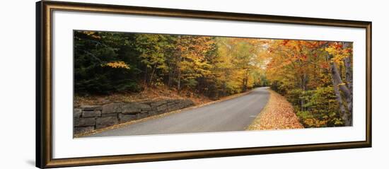 Trees Along a Road, Park Loop Road, Acadia National Park, Maine-null-Framed Photographic Print