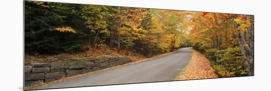 Trees Along a Road, Park Loop Road, Acadia National Park, Maine-null-Mounted Photographic Print
