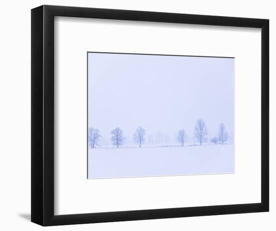 Trees Along Fence in Winter-Jim Craigmyle-Framed Photographic Print