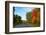 Trees along road in autumn, Ontario, Canada-null-Framed Photographic Print