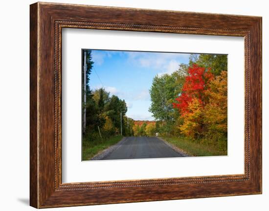 Trees along road in autumn, Ontario, Canada-null-Framed Photographic Print