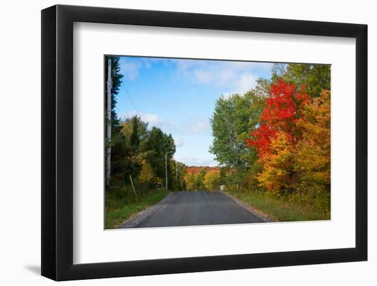 Trees along road in autumn, Ontario, Canada-null-Framed Photographic Print