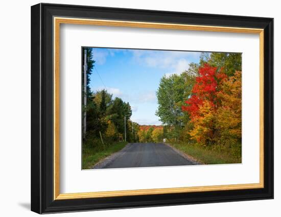 Trees along road in autumn, Ontario, Canada-null-Framed Photographic Print