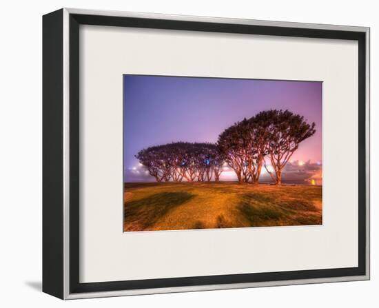 Trees and an Aircraft Carrier in the Fog-Trey Ratcliff-Framed Photographic Print