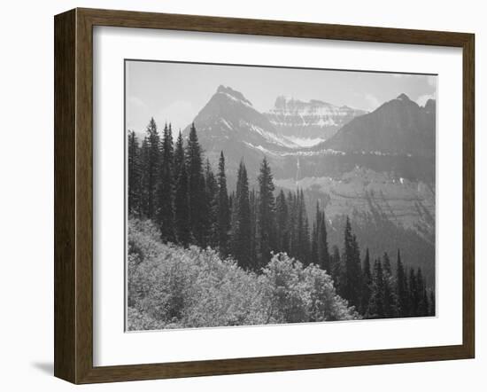 Trees And Bushes In Foreground Mountains In Bkgd "In Glacier National Park" Montana. 1933-1942-Ansel Adams-Framed Premium Giclee Print