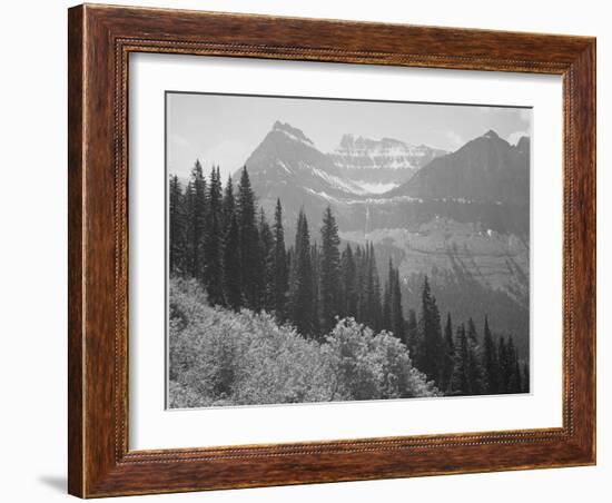 Trees And Bushes In Foreground Mountains In Bkgd "In Glacier National Park" Montana. 1933-1942-Ansel Adams-Framed Premium Giclee Print