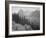 Trees And Bushes In Foreground Mountains In Bkgd "In Glacier National Park" Montana. 1933-1942-Ansel Adams-Framed Premium Giclee Print