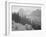 Trees And Bushes In Foreground Mountains In Bkgd "In Glacier National Park" Montana. 1933-1942-Ansel Adams-Framed Premium Giclee Print