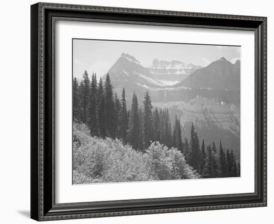 Trees And Bushes In Foreground Mountains In Bkgd "In Glacier National Park" Montana. 1933-1942-Ansel Adams-Framed Premium Giclee Print