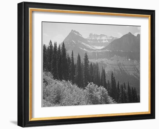 Trees And Bushes In Foreground Mountains In Bkgd "In Glacier National Park" Montana. 1933-1942-Ansel Adams-Framed Premium Giclee Print