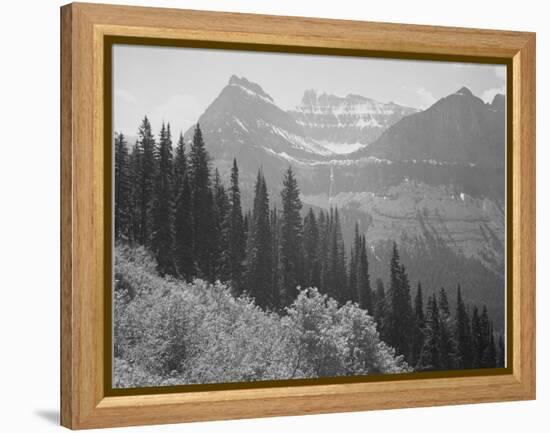 Trees And Bushes In Foreground Mountains In Bkgd "In Glacier National Park" Montana. 1933-1942-Ansel Adams-Framed Stretched Canvas