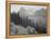 Trees And Bushes In Foreground Mountains In Bkgd "In Glacier National Park" Montana. 1933-1942-Ansel Adams-Framed Stretched Canvas