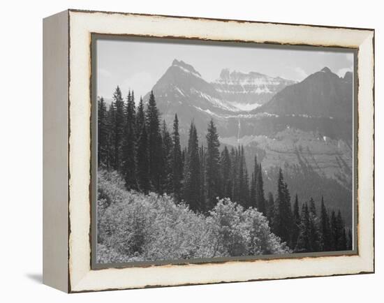 Trees And Bushes In Foreground Mountains In Bkgd "In Glacier National Park" Montana. 1933-1942-Ansel Adams-Framed Stretched Canvas