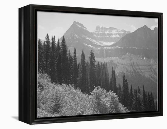 Trees And Bushes In Foreground Mountains In Bkgd "In Glacier National Park" Montana. 1933-1942-Ansel Adams-Framed Stretched Canvas