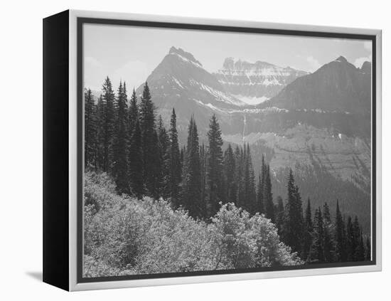 Trees And Bushes In Foreground Mountains In Bkgd "In Glacier National Park" Montana. 1933-1942-Ansel Adams-Framed Stretched Canvas