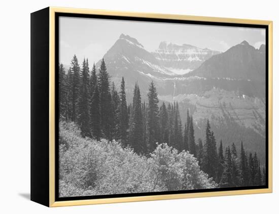 Trees And Bushes In Foreground Mountains In Bkgd "In Glacier National Park" Montana. 1933-1942-Ansel Adams-Framed Stretched Canvas