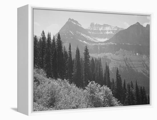 Trees And Bushes In Foreground Mountains In Bkgd "In Glacier National Park" Montana. 1933-1942-Ansel Adams-Framed Stretched Canvas