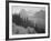 Trees And Bushes In Foreground Mountains In Bkgd "In Glacier National Park" Montana. 1933-1942-Ansel Adams-Framed Art Print