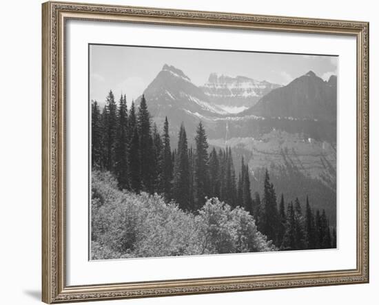 Trees And Bushes In Foreground Mountains In Bkgd "In Glacier National Park" Montana. 1933-1942-Ansel Adams-Framed Art Print