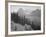 Trees And Bushes In Foreground Mountains In Bkgd "In Glacier National Park" Montana. 1933-1942-Ansel Adams-Framed Art Print