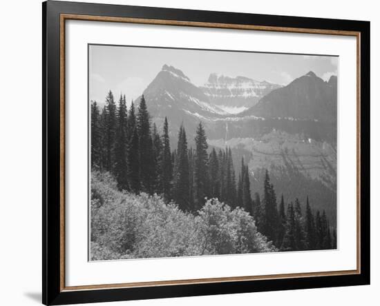 Trees And Bushes In Foreground Mountains In Bkgd "In Glacier National Park" Montana. 1933-1942-Ansel Adams-Framed Art Print