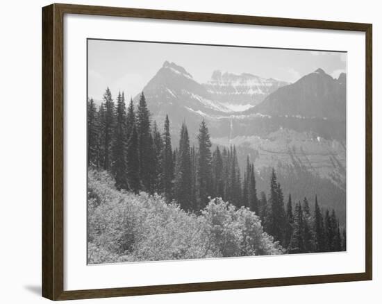 Trees And Bushes In Foreground Mountains In Bkgd "In Glacier National Park" Montana. 1933-1942-Ansel Adams-Framed Art Print