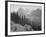 Trees And Bushes In Foreground Mountains In Bkgd "In Glacier National Park" Montana. 1933-1942-Ansel Adams-Framed Art Print