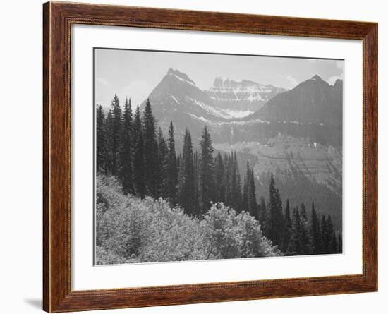 Trees And Bushes In Foreground Mountains In Bkgd "In Glacier National Park" Montana. 1933-1942-Ansel Adams-Framed Art Print