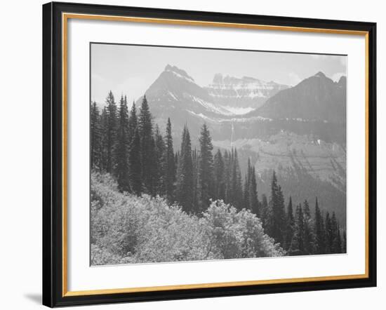 Trees And Bushes In Foreground Mountains In Bkgd "In Glacier National Park" Montana. 1933-1942-Ansel Adams-Framed Art Print