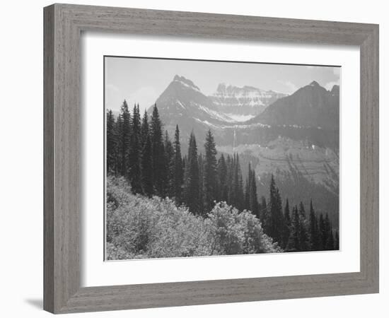 Trees And Bushes In Foreground Mountains In Bkgd "In Glacier National Park" Montana. 1933-1942-Ansel Adams-Framed Art Print