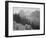 Trees And Bushes In Foreground Mountains In Bkgd "In Glacier National Park" Montana. 1933-1942-Ansel Adams-Framed Art Print