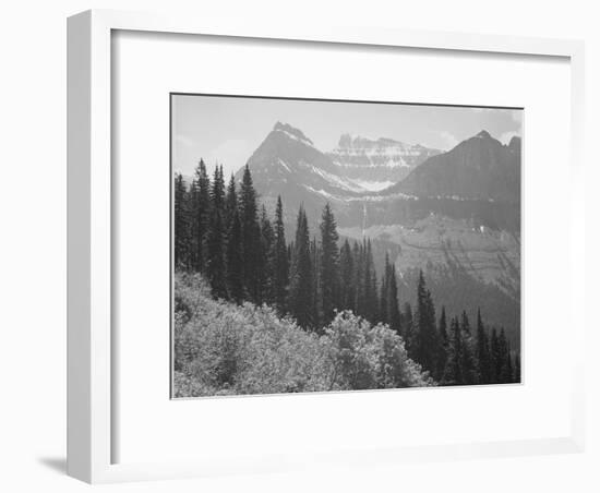 Trees And Bushes In Foreground Mountains In Bkgd "In Glacier National Park" Montana. 1933-1942-Ansel Adams-Framed Art Print