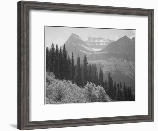 Trees And Bushes In Foreground Mountains In Bkgd "In Glacier National Park" Montana. 1933-1942-Ansel Adams-Framed Art Print