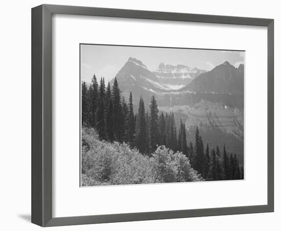 Trees And Bushes In Foreground Mountains In Bkgd "In Glacier National Park" Montana. 1933-1942-Ansel Adams-Framed Art Print