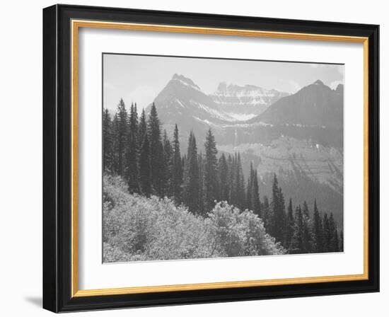 Trees And Bushes In Foreground Mountains In Bkgd "In Glacier National Park" Montana. 1933-1942-Ansel Adams-Framed Art Print