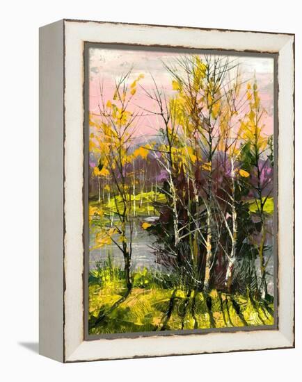 Trees And Bushes On The Bank Of The River-balaikin2009-Framed Stretched Canvas