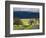 Trees and Country Road, Santa Barbara Wine Country, Santa Ynez, Southern California, Usa-Walter Bibikow-Framed Photographic Print