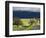 Trees and Country Road, Santa Barbara Wine Country, Santa Ynez, Southern California, Usa-Walter Bibikow-Framed Photographic Print