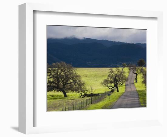 Trees and Country Road, Santa Barbara Wine Country, Santa Ynez, Southern California, Usa-Walter Bibikow-Framed Photographic Print