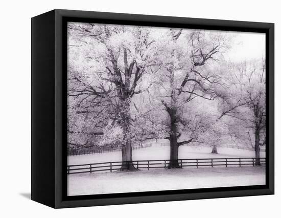 Trees and Fence in Snowy Field-Robert Llewellyn-Framed Premier Image Canvas