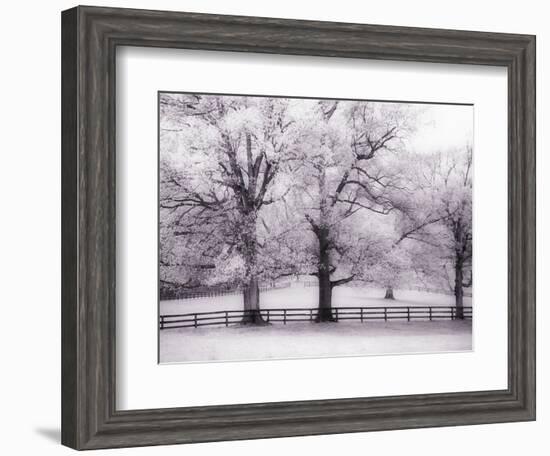 Trees and Fence in Snowy Field-Robert Llewellyn-Framed Photographic Print