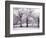 Trees and Fence in Snowy Field-Robert Llewellyn-Framed Photographic Print