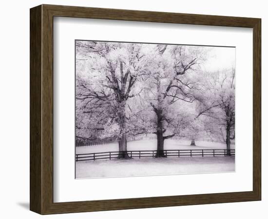 Trees and Fence in Snowy Field-Robert Llewellyn-Framed Photographic Print