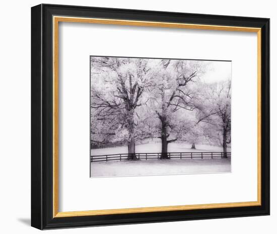 Trees and Fence in Snowy Field-Robert Llewellyn-Framed Photographic Print