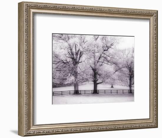 Trees and Fence in Snowy Field-Robert Llewellyn-Framed Photographic Print