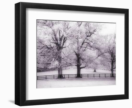 Trees and Fence in Snowy Field-Robert Llewellyn-Framed Photographic Print