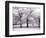 Trees and Fence in Snowy Field-Robert Llewellyn-Framed Photographic Print