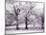 Trees and Fence in Snowy Field-Robert Llewellyn-Mounted Photographic Print