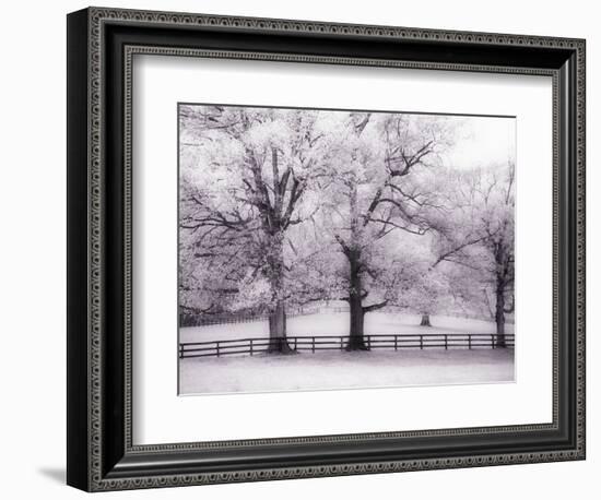 Trees and Fence in Snowy Field-Robert Llewellyn-Framed Photographic Print