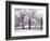 Trees and Fence in Snowy Field-Robert Llewellyn-Framed Photographic Print